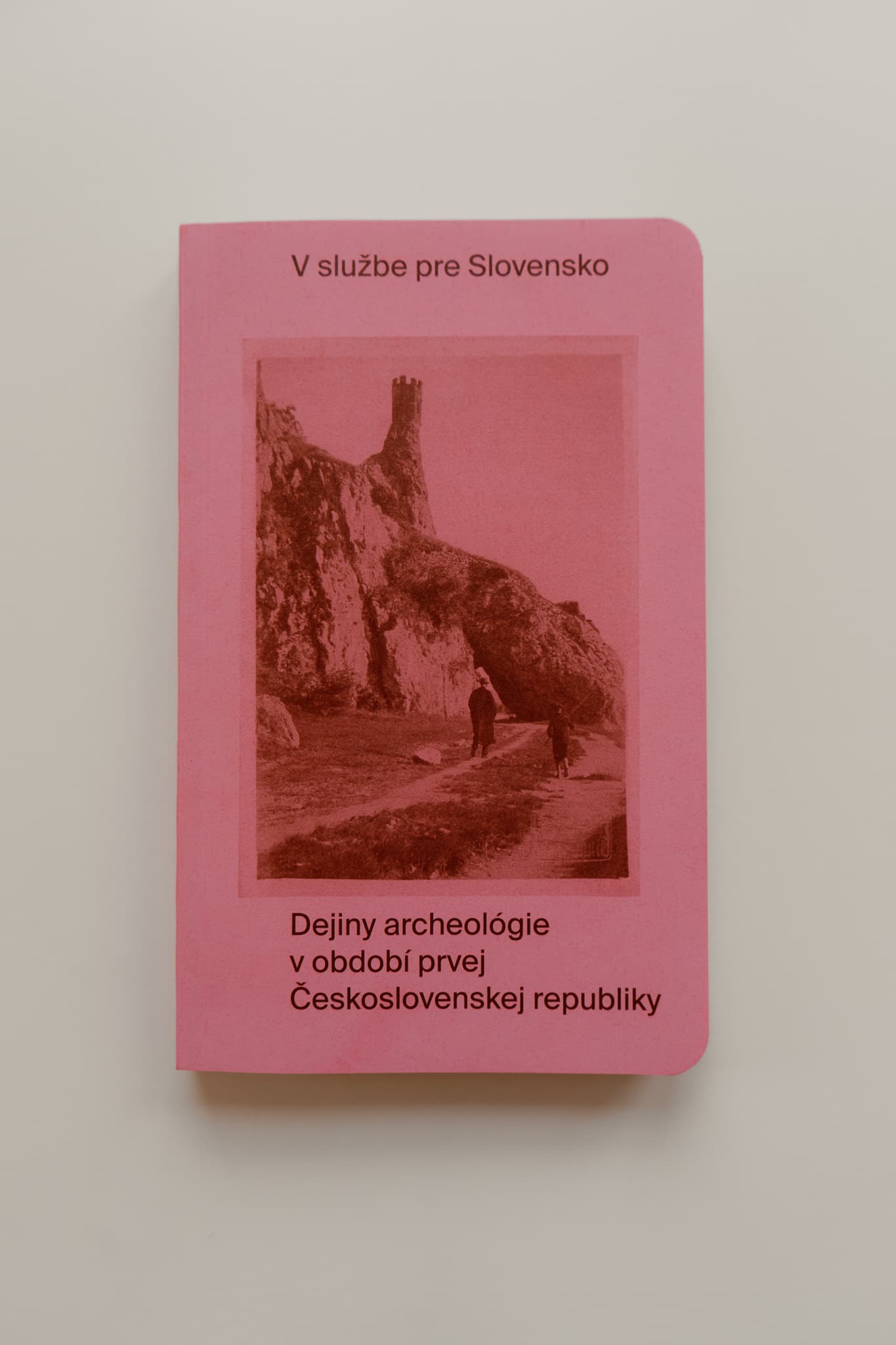 Ružová kniha „V službe pre Slovensko. Dejiny archeológie v období prvej Československej republiky“ od Jany Mellnerovej Šutekovej, Petra Bartu a ďalších autorov. Na obálke je fotografia dvoch ľudí pod hradom Devín.