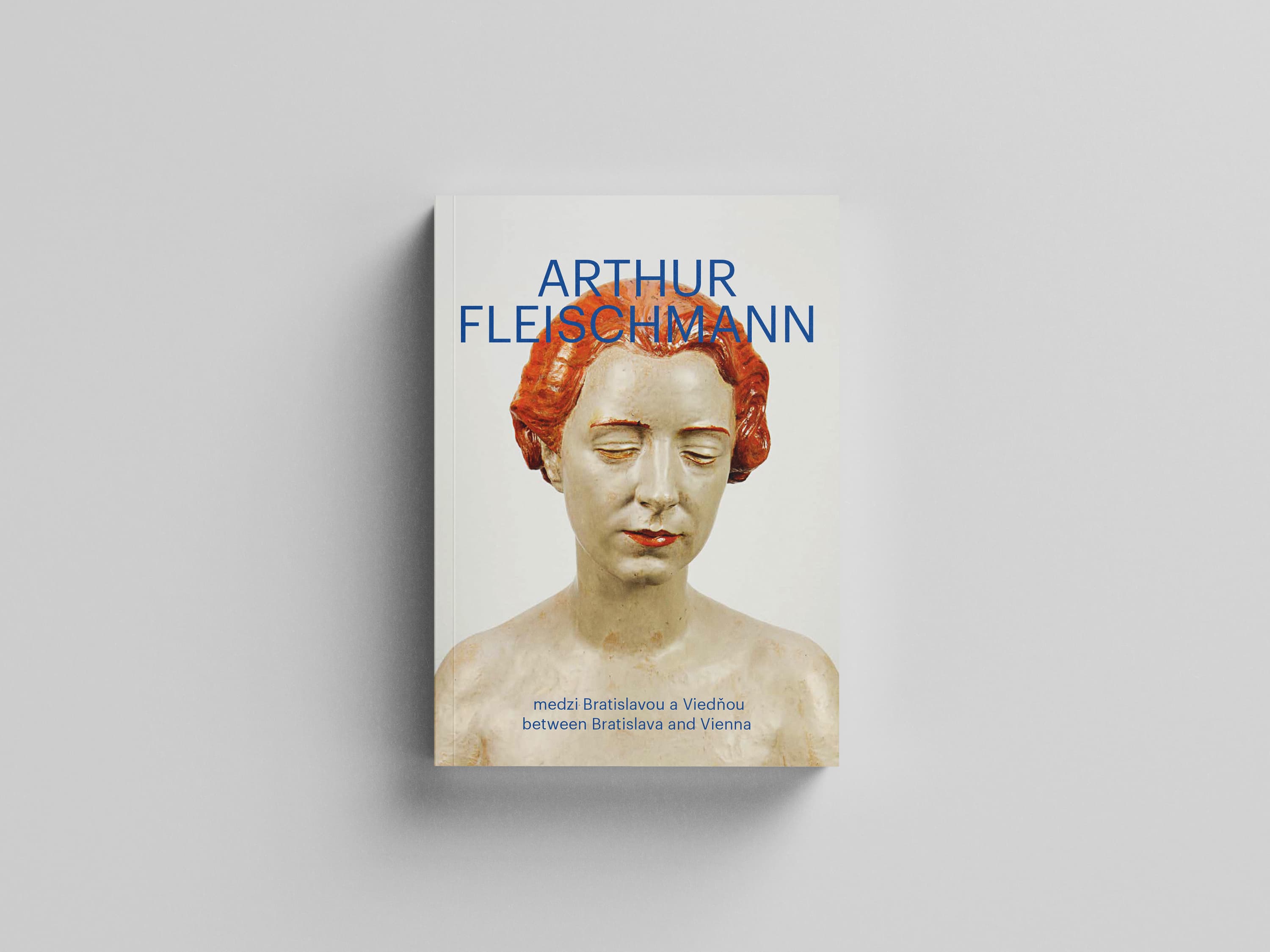 View of the cover of the publication Arthur Fleischmann