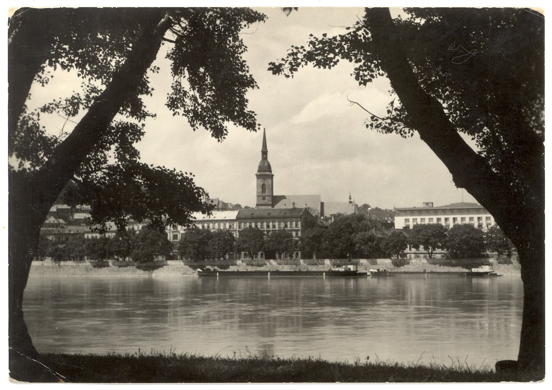 Pohľadnica - Pohľad na Dóm sv. Martina z Petržalky.